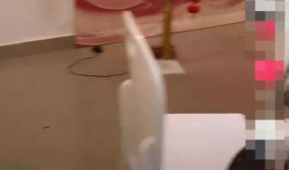 李湘房东爆料视频大全集,揭秘明星豪宅背后的真实故事